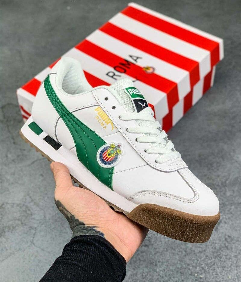 Puma roma