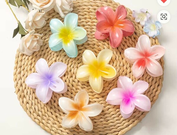 Clips à cheveux fleurs colorées