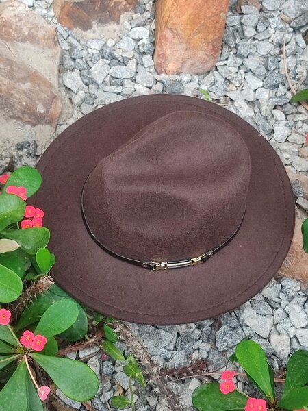 Fedora hat