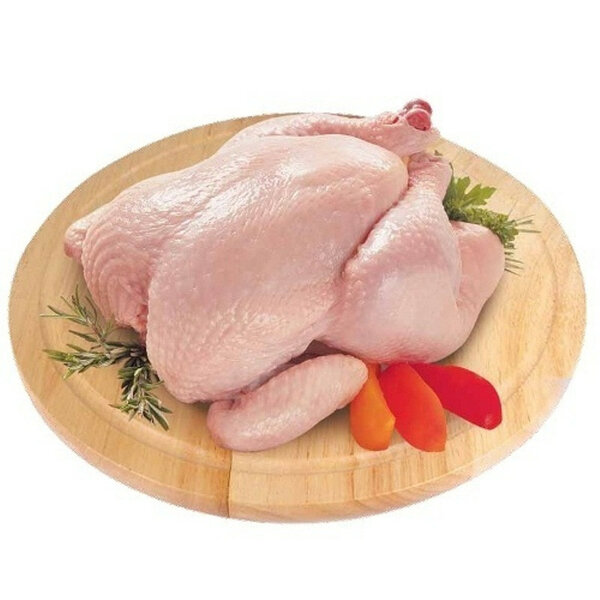 Poulet de chair
