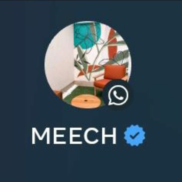 MEECH world