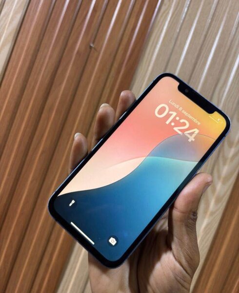 iPhone 12 Bleu Étanche