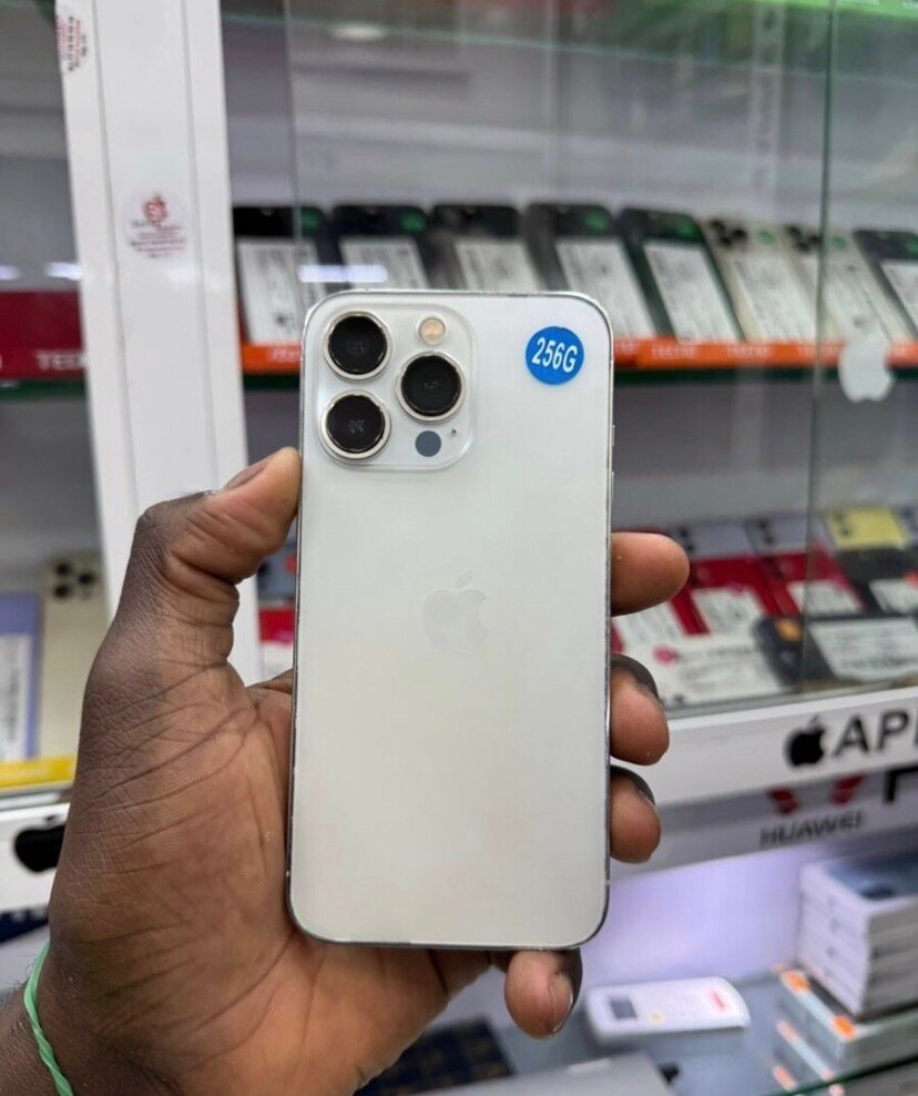 iPhone12 pro max256