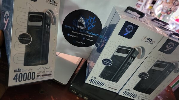 Bigfish Electronics 