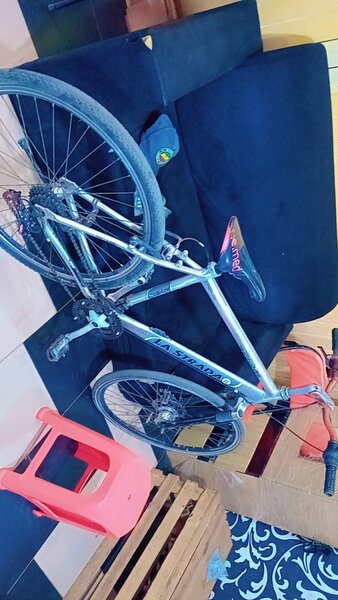 Mountain bike