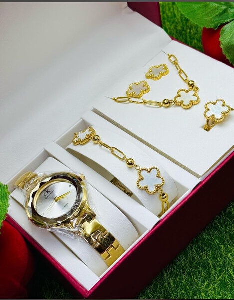 Ensemble montre et bijoux élégant
