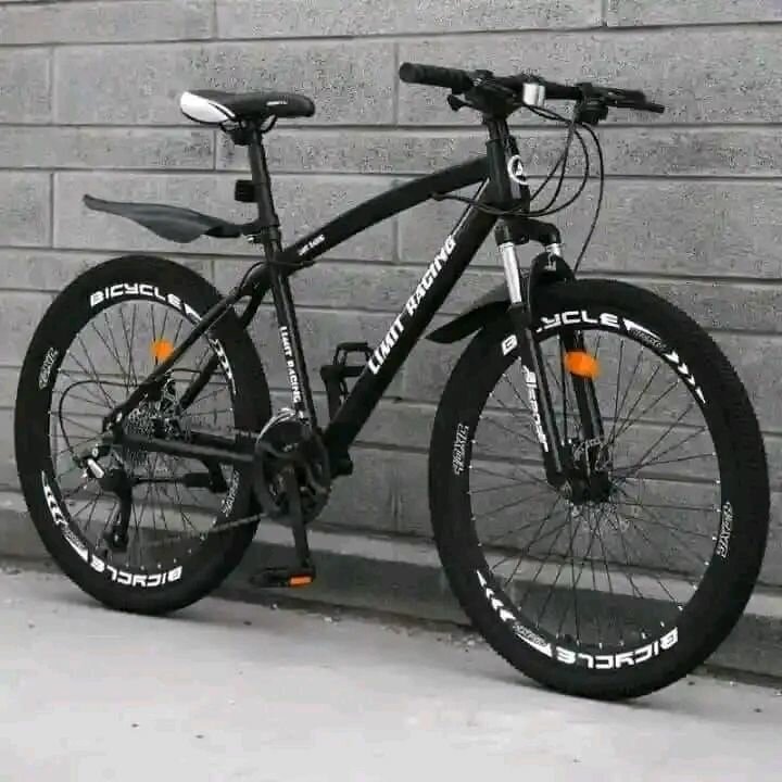 Vélo de montagne robuste