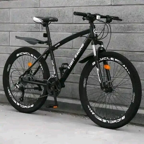Vélo de montagne robuste
