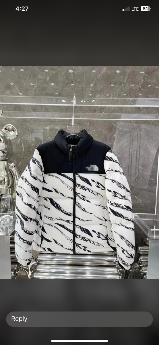 Winter jacket