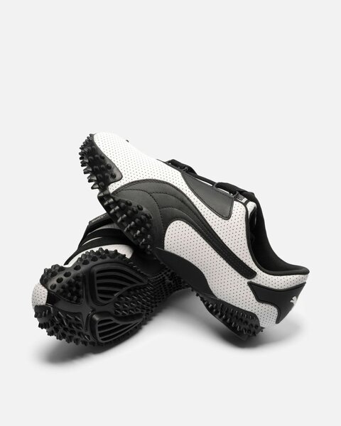 Puma mostro