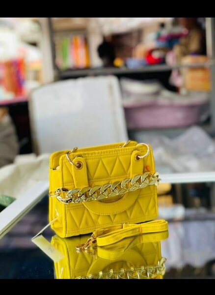 Ladies hand bag