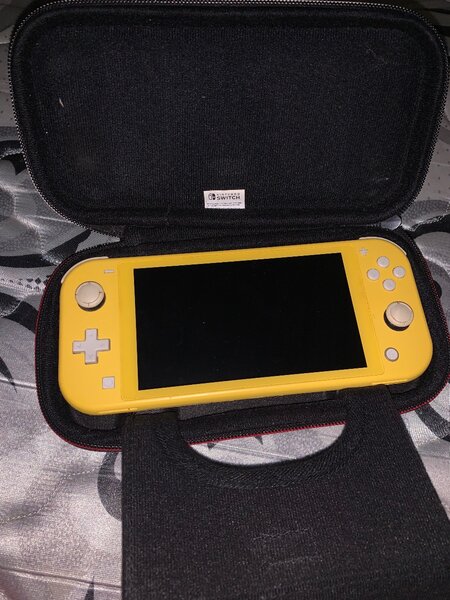 Nintendo switch