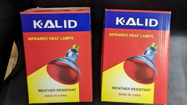 chicken lights