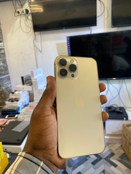 iPhone 13 Pro Max