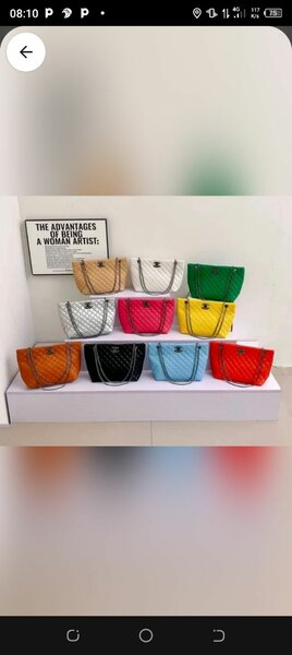 Ladies bag