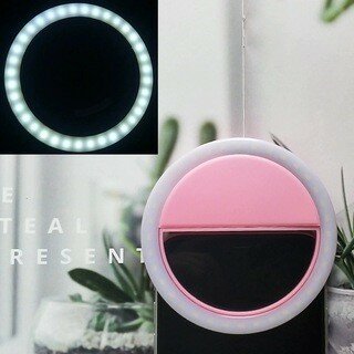 Mini selfie light