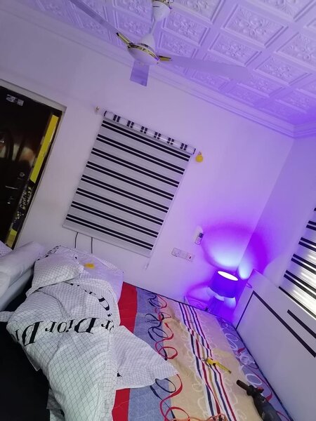 Window Blinds