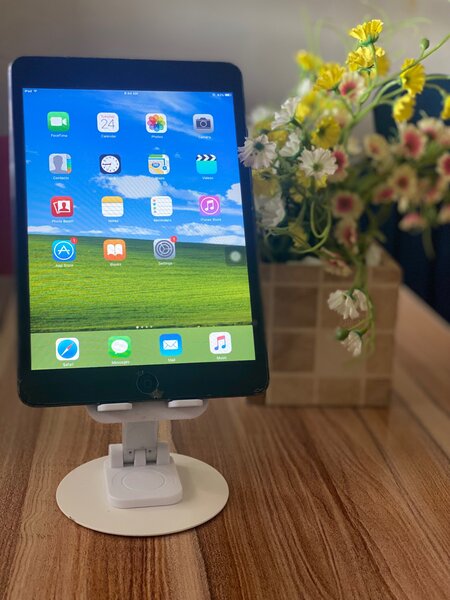 iPad mini