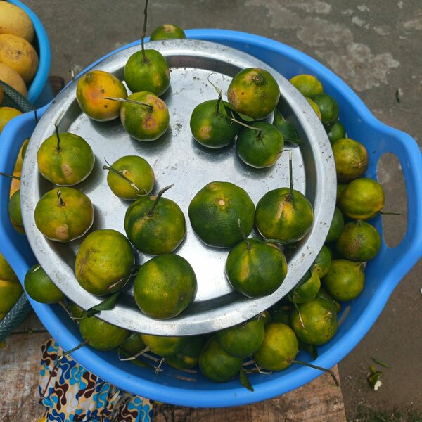 Mandarine fraîches et juteuses