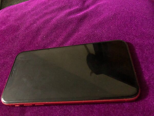 iPhone 11 simple