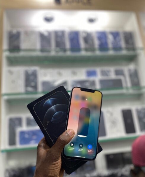 iPhone 12 Pro Max 256 Go