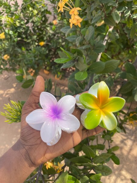 Flower hair clip