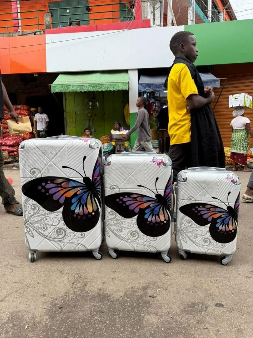 Valises avec Papillons