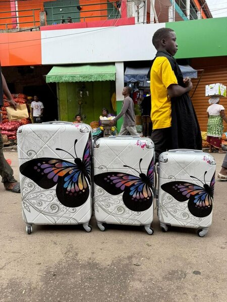 Valises avec Papillons