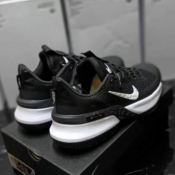 Lebron ambassador 13