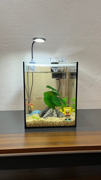 Aquariums