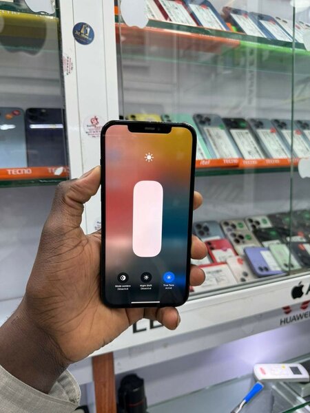 iPhone 12 Pro Max
