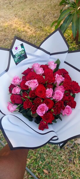 Rose flowers