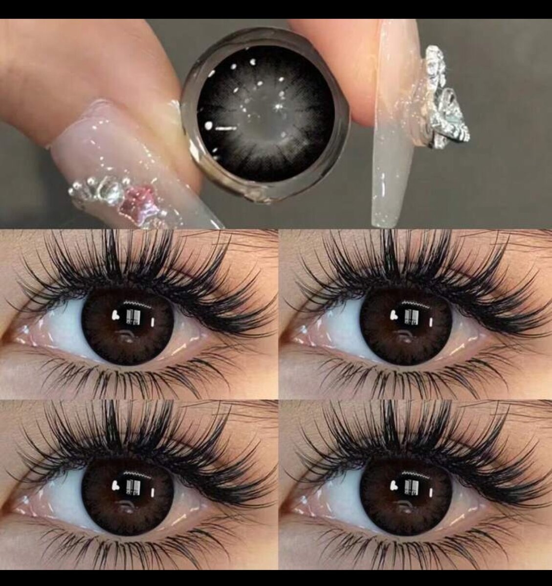 Lentilles