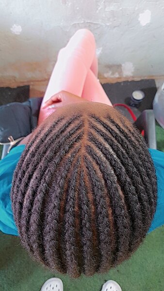Plain Mukule