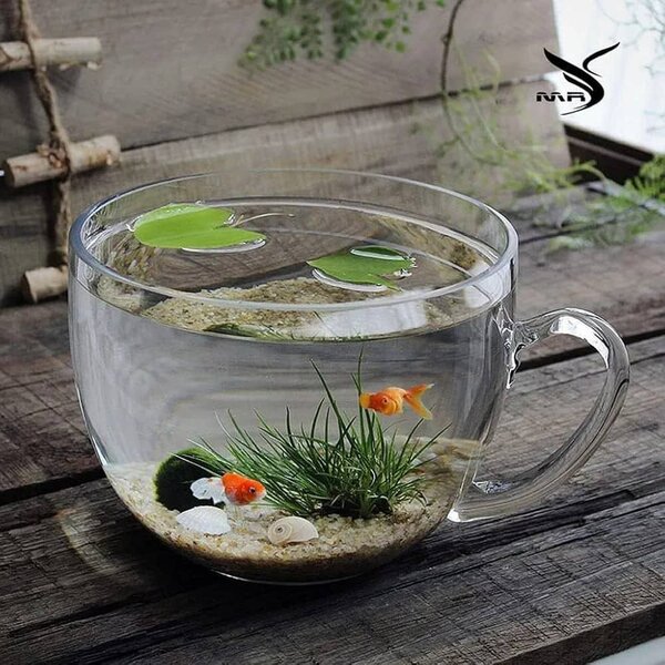 Élégant aquarium en verre