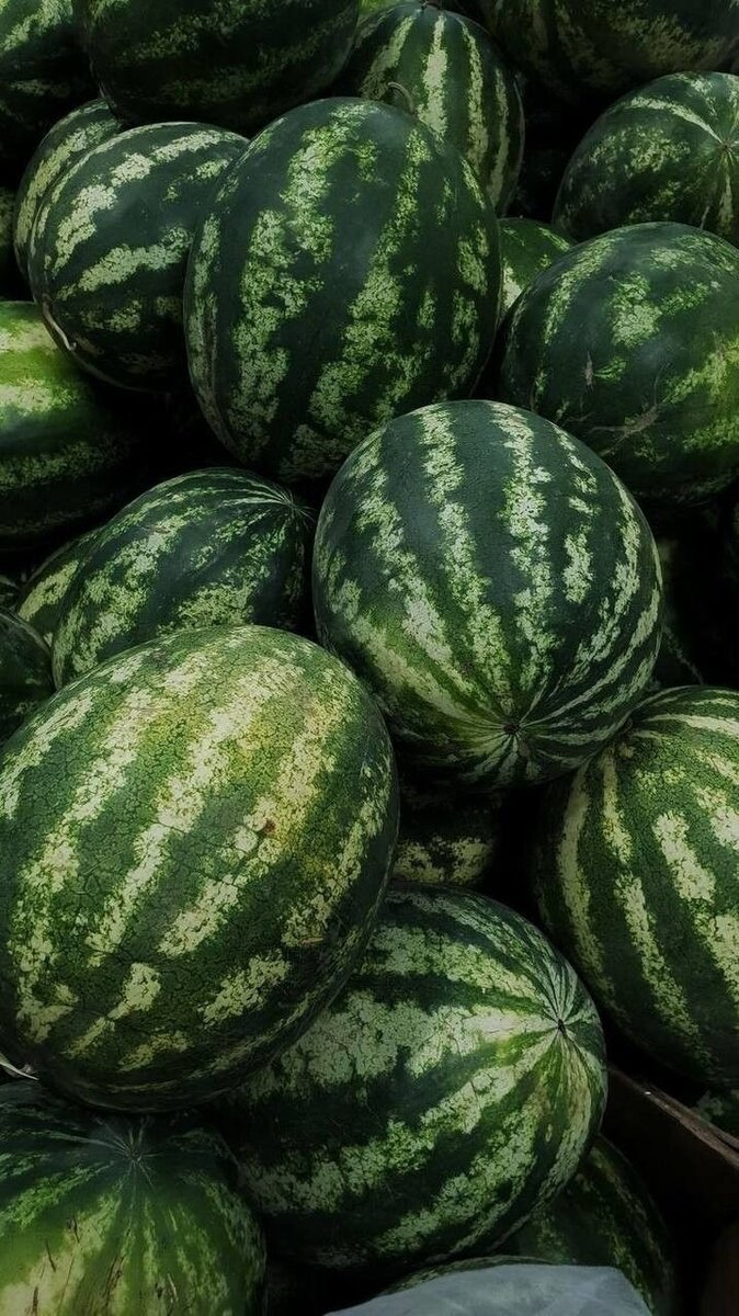 Watermelon