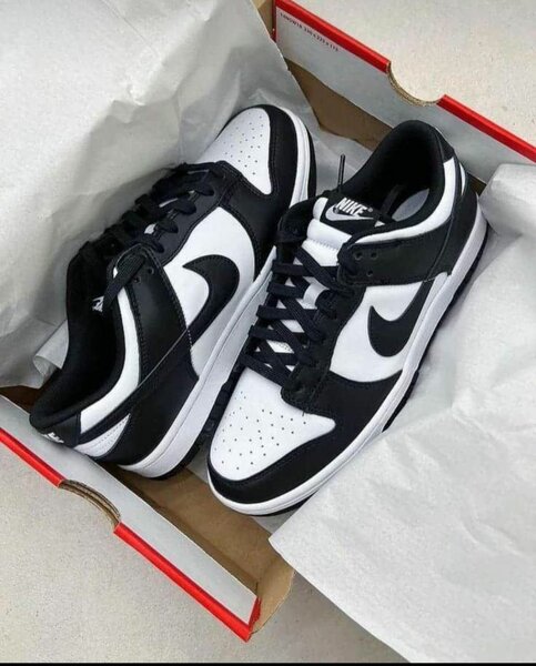 Nike sb