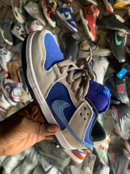 Dunk low SB