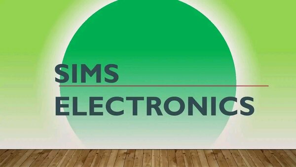 Sims electronics 