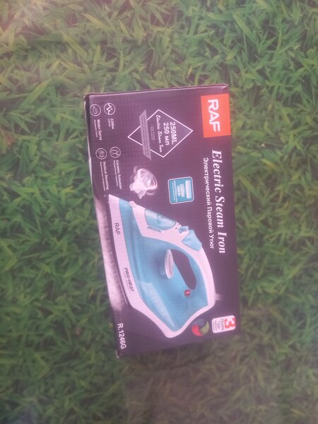 Electric Steam Iron