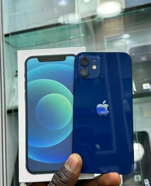 iPhone 12 - 128 Go - Bleu