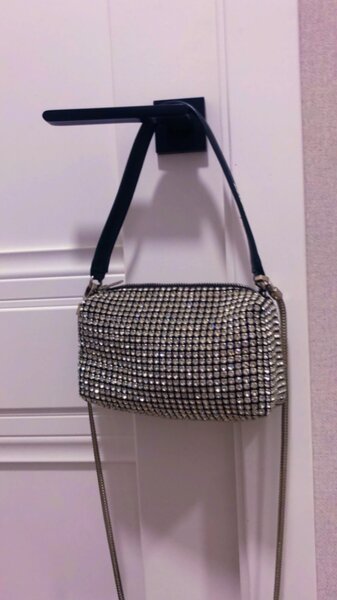 Alexander wang