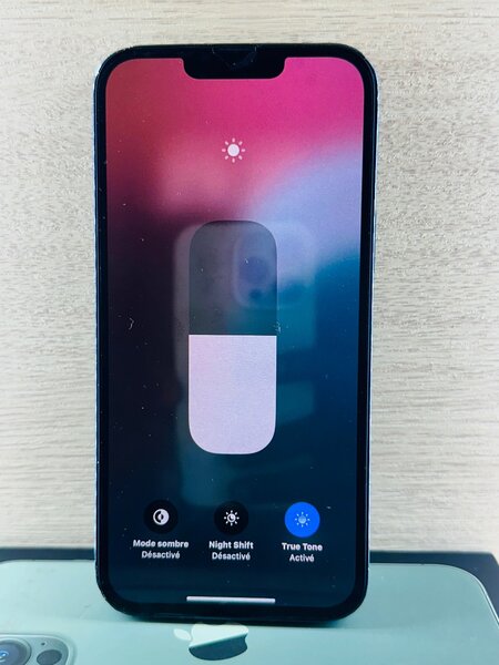 iPhone Pro Max Vert