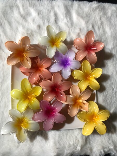 Pinces en fleur pour cheveux