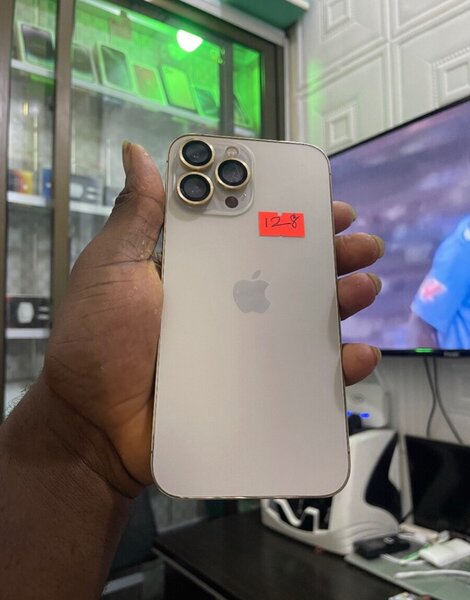 iPhone 13 Pro Max