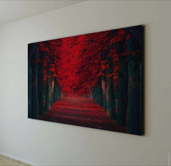 Wall frame