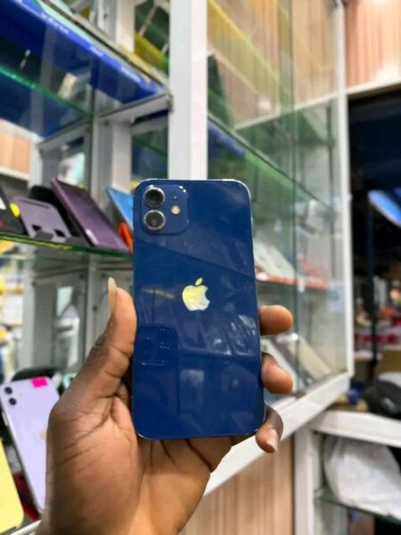 iPhone 12 Bleu Débloqué