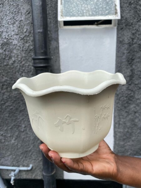 Pot flower