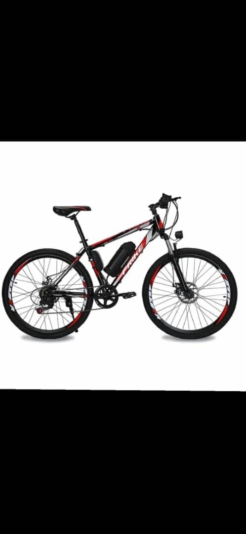 Electric Bike