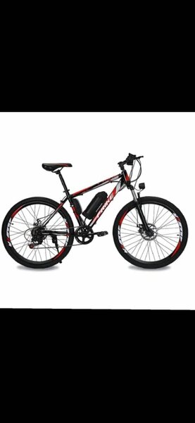 Electric Bike